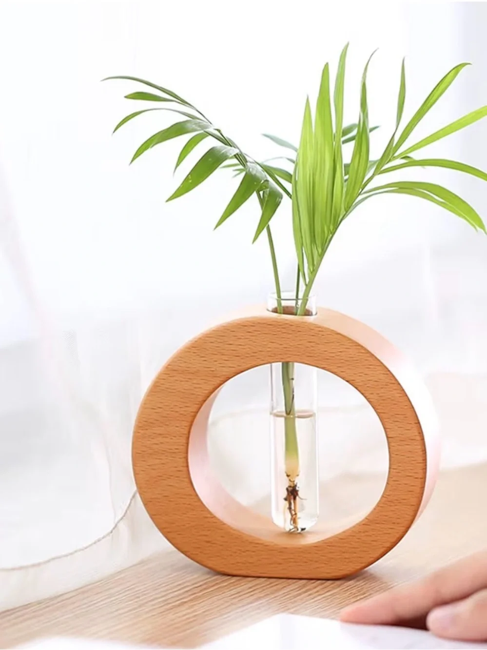 Test Tube Propagation Wood Carved Circle Vase Wall Hanging Shelf Sitting Boho
